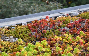the cost of Yardley Gobion green roof installation
