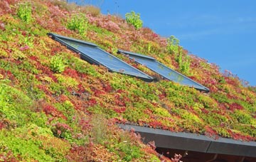 Yardley Gobion living roof systems